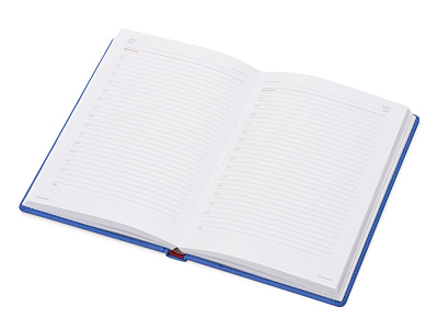 Ежедневник недатированный А5 Velvet