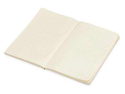 Блокнот А5 Softy soft-touch