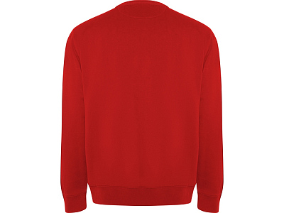 Свитшот из органического хлопка Batian, унисекс