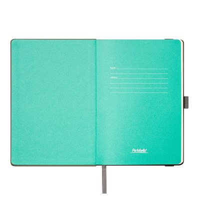 Ежедневник Альфа (Alpha) недатированный, серый/бирюзовый