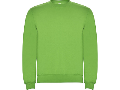 Свитшот с начесом Clasica детский (Зеленое яблоко)