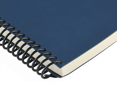 Ежедневник недатированный А5 Agenda