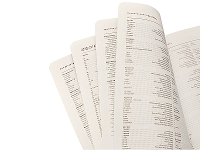 Ежедневник недатированный А5 Parliament