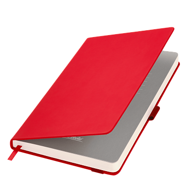 Ежедневник Альфа (Alpha) недатированный, красный/серый