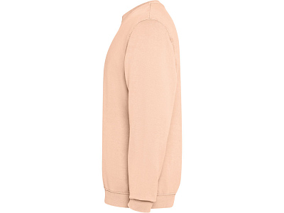 Свитшот Jaya, унисекс