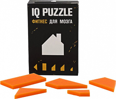 Головоломка IQ Puzzle домик