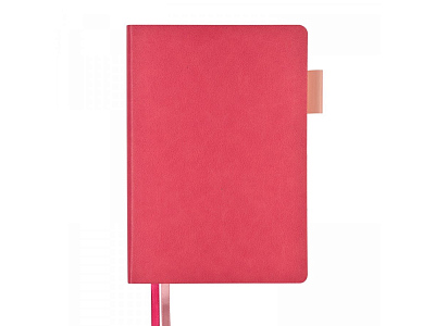 Ежедневник недатированный А5 Boston