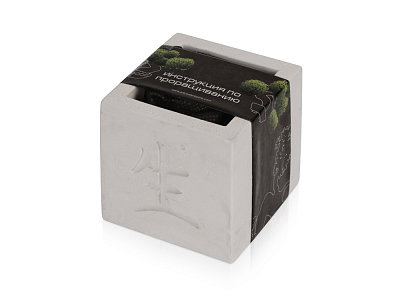 Подарочный набор Вырасти Бонсай дома. Жасмин