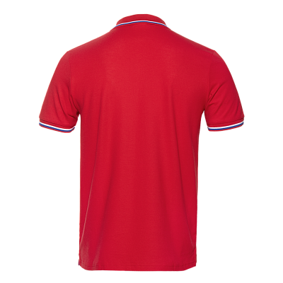 Рубашка поло мужская триколор STAN хлопок/полиэстер 185, 04RUS