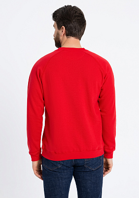 Свитшот унисекс STAN футер с начёсом 260, 53