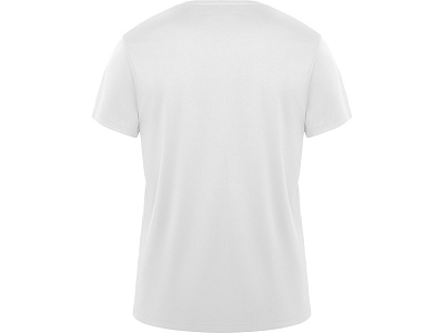 Спортивная футболка Daytona мужская