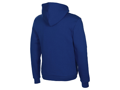 Толстовка с капюшоном Amsterdam мужская