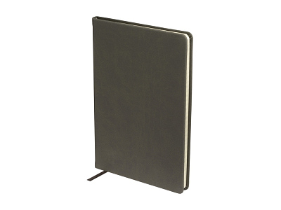 Блокнот А5 Megapolis Velvet