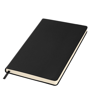 Ежедневник Alpha BtoBook недатированный, черный (без резинки, без упаковки, без стикера)