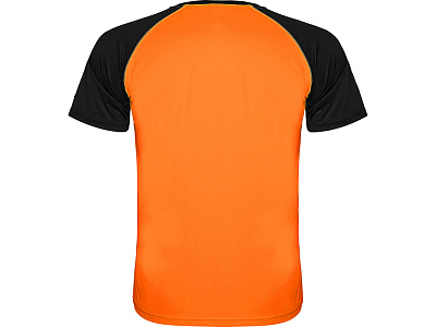 Спортивная футболка Indianapolis мужская