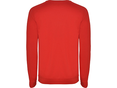 Свитшот Annapurna мужской