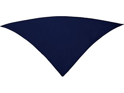 Шейный платок FESTERO треугольной формы (Темно-синий)