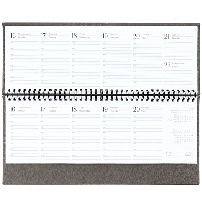 Планинг Sagrin, датированный, серый