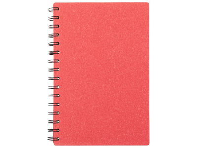 Блокнот А5 на спирали Mania