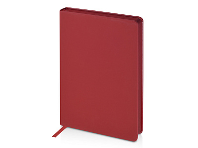 Ежедневник А5 датированный Megapolis Color на 2026 год (Бордовый)