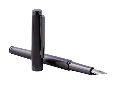 Ручка перьевая Shine