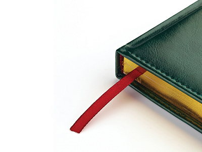 Ежедневник датированный А5 Sidney Nebraska на 2026 год