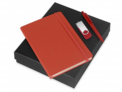 Подарочный набор Vision Pro Plus soft-touch с флешкой, ручкой и блокнотом А5 (Красный)