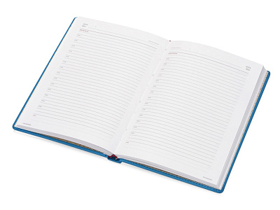 Ежедневник недатированный А6+ Velvet