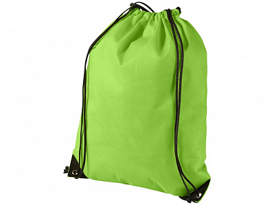 Рюкзак-мешок Evergreen (Зеленое яблоко)