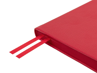 Ежедневник недатированный А5 Megapolis Nappa