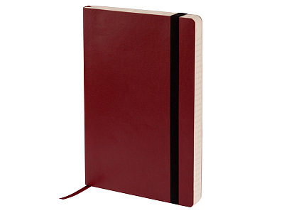 Ежедневник недатированный А5 Vincent