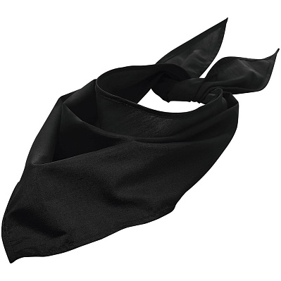 Шейный платок Bandana  (Черный)