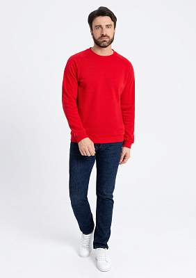 Свитшот унисекс STAN футер с начёсом 260, 53