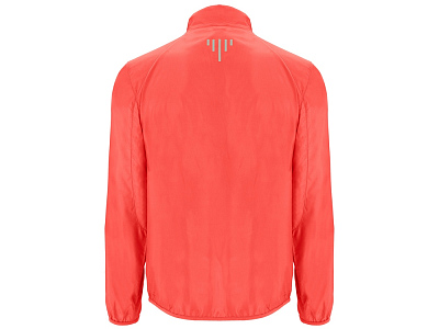 Ветровка Glasgow мужская