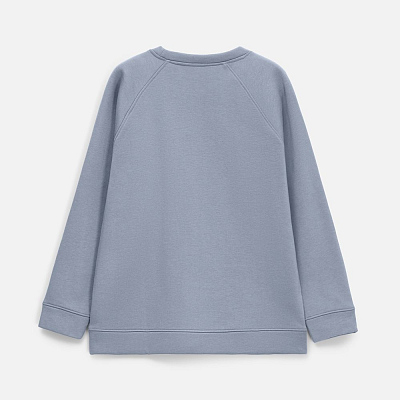 Свитшот унисекс S1, серый