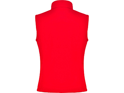 Жилет софтшелл Nevada, мужской