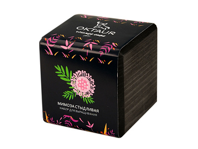 Набор для выращивания Small village cube Мимоза стыдливая (Чёрный)