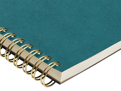 Бизнес тетрадь А5 Pragmatic