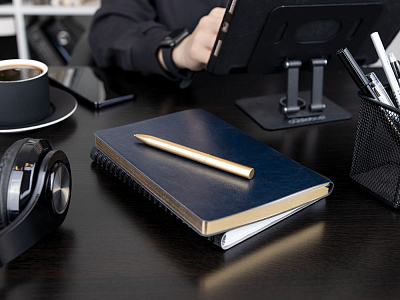 Ручка шариковая Superbia, золотистая