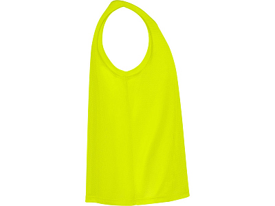 Манишка спортивная Roma, унисекс