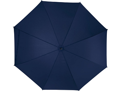 Зонт-трость Ibi