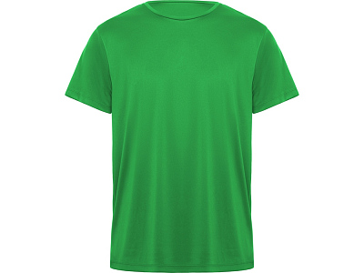 Спортивная футболка Daytona мужская