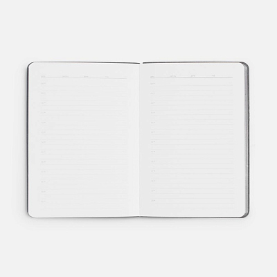 Ежедневник Flexpen Mini, недатированный, красный