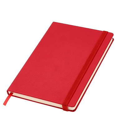 Ежедневник Canyon Btobook недатированный  (без упаковки, без стикера) (Красный)