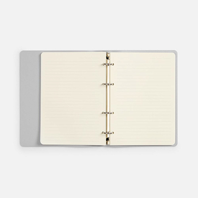 Ежедневник Ringo, недатированный, серебристый