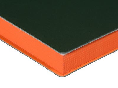 Ежедневник недатированный А5 Mercury