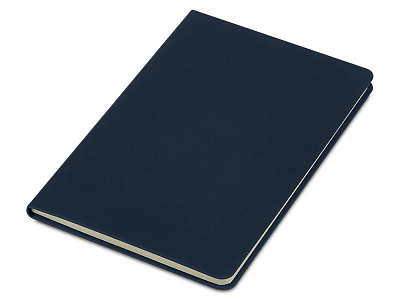 Блокнот в твердой обложке A5 Виспи в клетку (Тёмно-синий)