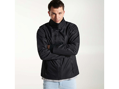 Парка Alaska мужская