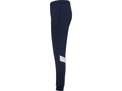 Брюки спортивные Rodas, мужские