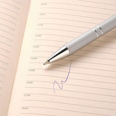 Шариковая ручка Альфа (Alpha), серебряная